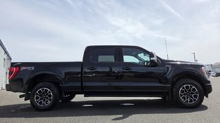 2023 Ford F-150 XLT  SPORT 302A   FX4 in Matane, Quebec - 5 - w320h240px