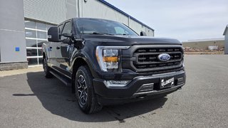 2023 Ford F-150 XLT  SPORT 302A   FX4 in Matane, Quebec - 3 - w320h240px