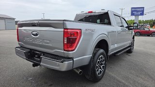 Ford F-150 XLT SPORT 302A  REMORQUAGE MAX 2023 à Matane, Québec - 5 - w320h240px