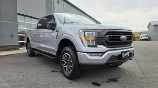 Ford F-150 XLT SPORT 302A  REMORQUAGE MAX 2023 à Matane, Québec - 3 - w320h240px