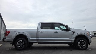Ford F-150 XLT SPORT 302A  REMORQUAGE MAX 2023 à Matane, Québec - 4 - w320h240px