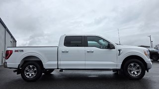 Ford F-150 XLT  ENSEMBLE XTR 300A 2023 à Matane, Québec - 4 - w320h240px