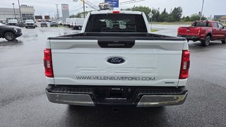 Ford F-150 XLT  ENSEMBLE XTR 300A 2023 à Matane, Québec - 6 - w320h240px