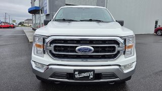 Ford F-150 XLT  ENSEMBLE XTR 300A 2023 à Matane, Québec - 2 - w320h240px