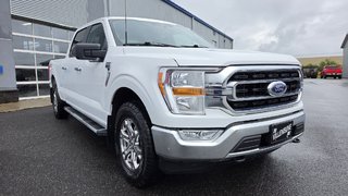 Ford F-150 XLT  ENSEMBLE XTR 300A 2023 à Matane, Québec - 3 - w320h240px