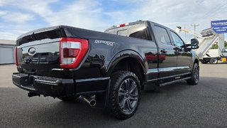 2023 Ford F-150 LARIAT  SPORT 502A  HYBRIDE in Matane, Quebec - 6 - w320h240px