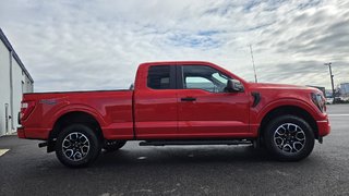 Ford F-150 XL  ENSEMBLE STX 101A 2023 à Matane, Québec - 5 - w320h240px