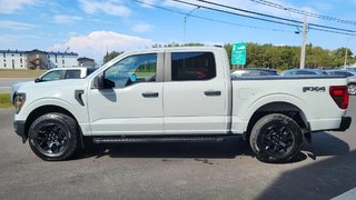 2024 Ford F-150 STX FX4 in Matane, Quebec - 2 - w320h240px