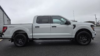 Ford F-150 STX 200A ENSEMBLE DÉCOR NOIR 2024 à Matane, Québec - 4 - w320h240px