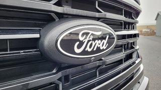 Ford F-150 XLT ENSEMBLE DECOR NOIR 2025 à Matane, Québec - 4 - w320h240px