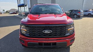 2025 Ford F-150 STX  200A in Matane, Quebec - 2 - w320h240px