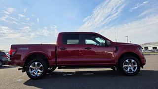 2025 Ford F-150 STX  200A in Matane, Quebec - 4 - w320h240px