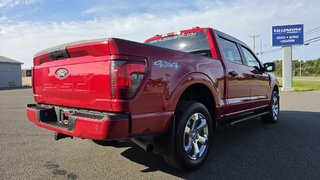 2025 Ford F-150 STX  200A in Matane, Quebec - 5 - w320h240px