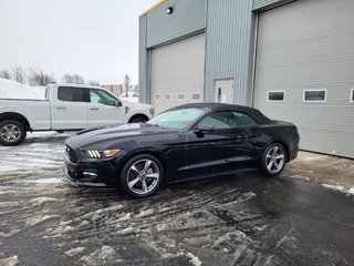 Ford Mustang V6 Convertible 2017 à Matane, Québec - 3 - w320h240px