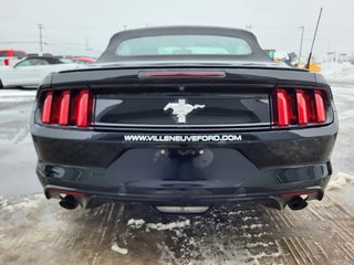 Ford Mustang V6 Convertible 2017 à Matane, Québec - 5 - w320h240px