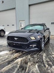 Ford Mustang V6 Convertible 2017 à Matane, Québec - 2 - w320h240px