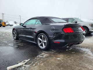 Ford Mustang V6 Convertible 2017 à Matane, Québec - 4 - w320h240px