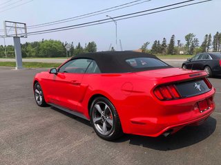 Ford Mustang V6  CONVERTIBLE 2017 à Matane, Québec - 4 - w320h240px