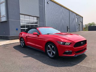 Ford Mustang V6  CONVERTIBLE 2017 à Matane, Québec - 3 - w320h240px