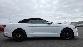 Ford Mustang CONVERTIBLE PREMIUM 2019 à Matane, Québec - 4 - w320h240px