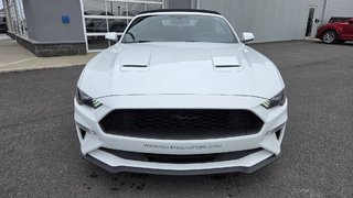 Ford Mustang CONVERTIBLE PREMIUM 2019 à Matane, Québec - 2 - w320h240px