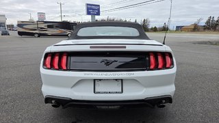 Ford Mustang CONVERTIBLE PREMIUM 2019 à Matane, Québec - 6 - w320h240px