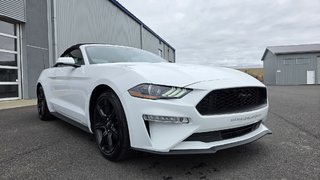 Ford Mustang CONVERTIBLE PREMIUM 2019 à Matane, Québec - 3 - w320h240px