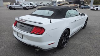 Ford Mustang CONVERTIBLE PREMIUM 2019 à Matane, Québec - 5 - w320h240px