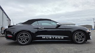 Ford Mustang CONVERTIBLE 2020 à Matane, Québec - 3 - w320h240px