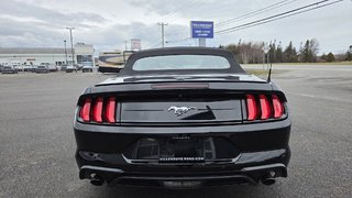 Ford Mustang CONVERTIBLE 2020 à Matane, Québec - 5 - w320h240px