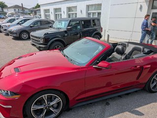 2022 Ford Mustang GT Premium SPECIAL CALIFORNIE in Matane, Quebec - 2 - w320h240px