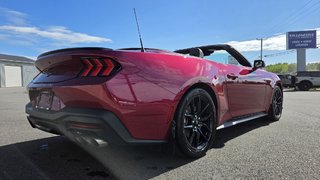 Ford Mustang Premium  201A  ENSEMBLE NITE PONY 2025 à Matane, Québec - 6 - w320h240px