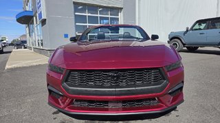 Ford Mustang Premium  201A  ENSEMBLE NITE PONY 2025 à Matane, Québec - 2 - w320h240px