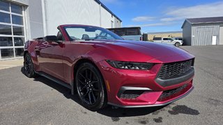 Ford Mustang Premium  201A  ENSEMBLE NITE PONY 2025 à Matane, Québec - 3 - w320h240px