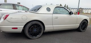 2005 Ford Thunderbird 50th Anniversary in Matane, Quebec - 5 - w320h240px