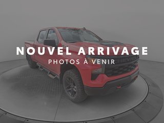 Chevrolet Silverado 1500 Custom Trail Boss 2022 à Jonquière, Québec - 3 - w320h240px