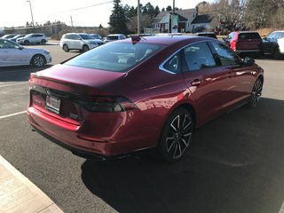2024 Honda Accord Touring Hybrid