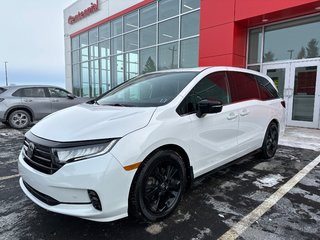 2024 Honda Odyssey Black Edition