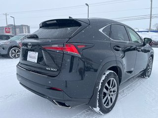 2018 Lexus NX 300 AWD