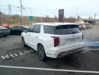 2025 Hyundai Palisade ULTIMATE CALLIGRAPHY in New Glasgow, Nova Scotia - 3 - w320h240px