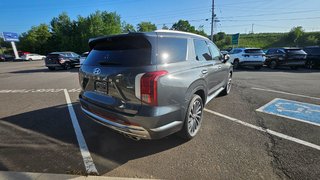 2025 Hyundai Palisade ULTIMATE CALLIGRAPHY in New Glasgow, Nova Scotia - 6 - w320h240px