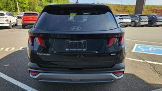 2025 Hyundai Tucson PREFERRED in New Glasgow, Nova Scotia - 4 - w320h240px