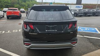 2025 Hyundai Tucson PREFERRED in New Glasgow, Nova Scotia - 4 - w320h240px