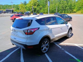 2017 Ford Escape TITANIUM in New Glasgow, Nova Scotia - 5 - w320h240px