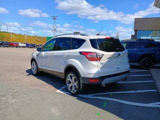 2017 Ford Escape TITANIUM in New Glasgow, Nova Scotia - 3 - w320h240px