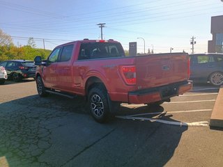 Ford F-150 XLT 2021 à New Glasgow, Nouvelle-Écosse - 3 - w320h240px