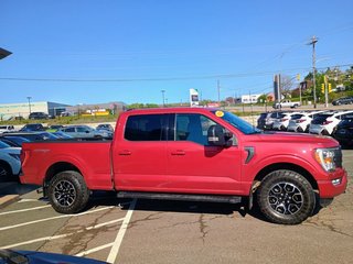 Ford F-150 XLT 2021 à New Glasgow, Nouvelle-Écosse - 6 - w320h240px