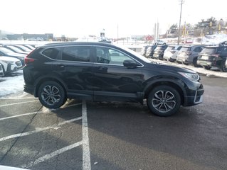 Honda CR-V EX-L 2020 à New Glasgow, Nouvelle-Écosse - 6 - w320h240px