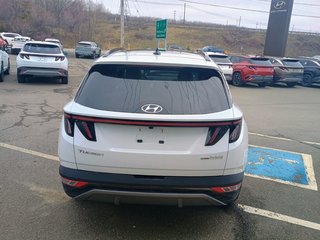 2024 Hyundai TUCSON HYBRID LUXURY in New Glasgow, Nova Scotia - 4 - w320h240px