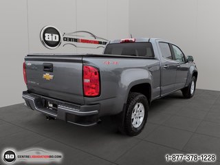 Chevrolet Colorado 4WD boite 5.2pi Work Truck V6 2019 à Granby, Québec - 6 - w320h240px